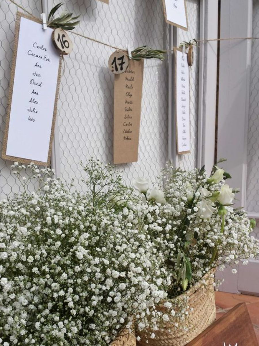 Diseño sin título (18)