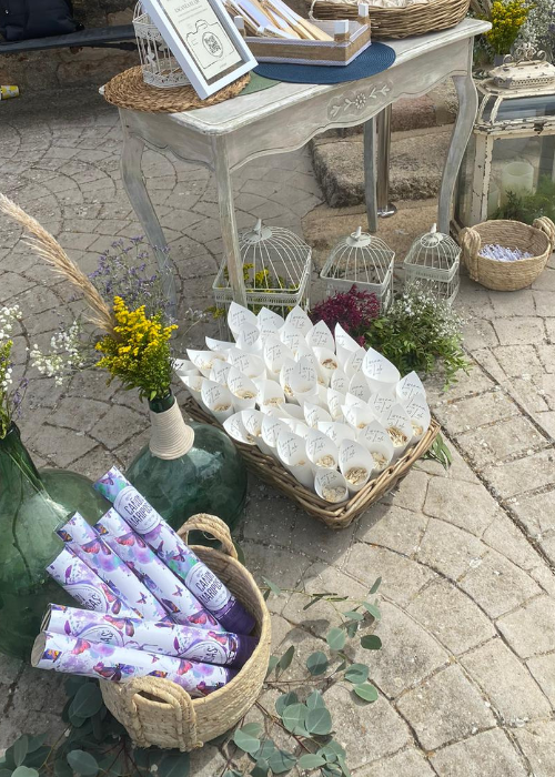 Diseno-sin-titulo-62